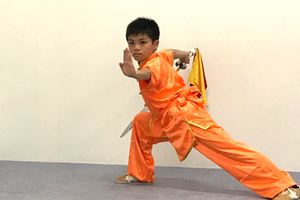 kungfu